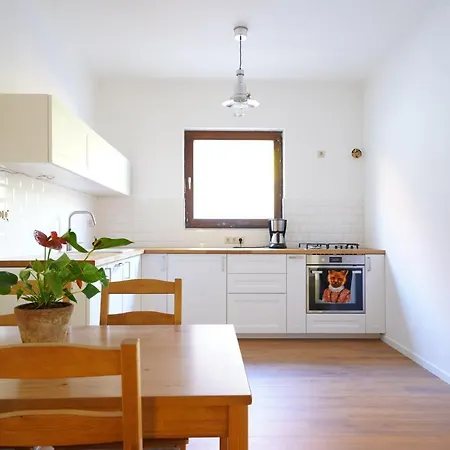 Buda Side Apartment